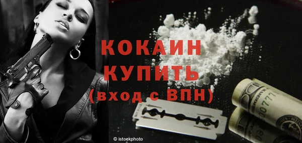 сатива Абинск