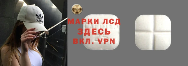сатива Абинск